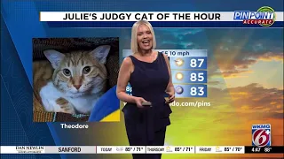 Julie Broughton - News 6 Pinpoint Weather Montage