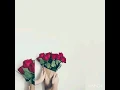 Aşkın nur yengi-Deli gönlüm