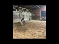 Sells Sept 7 2024 Mt Airy Horse Tack Sale