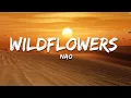 Download Lagu Nao - Wildflowers (Lyrics)