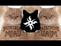 Lagu Lenar - MONTAGEM MIAU (Ultra Slowed)