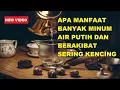Download Lagu APA MANFAAT BANYAK MINUM AIR PUTIH DAN SERING KENCING KARENA TERLALU BANYAK MINUM? AMANKAH?