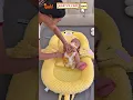Download Lagu Want baby to sleep soundly? Use the Baby Soothing Nest with Auto Patting! #ParentingTips