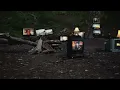 Knuckle Puck - Evergreen (Official Music Video)