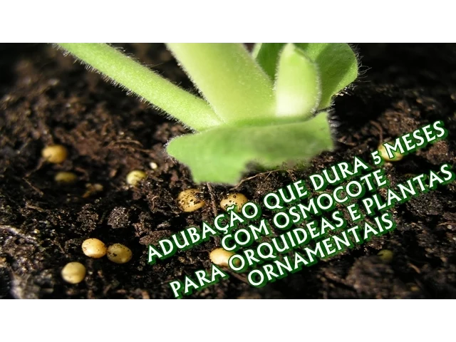 ADUBAÇÃO QUE DURA 5 MESES PARA ORQUÍDEAS E PLANTAS ORNAMENTAIS
