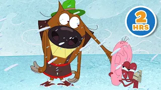 THE SECRET 🤫 Zig & Sharko Compilation in HD