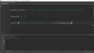 Layman s Python 3 1 hour crash course lesson 2 Variables