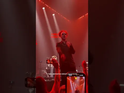 Thank you Amsterdam 🔥