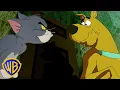 Download Lagu CATS VS DOGS! 🐱🐶 | Classic Cartoon Compilation | @wbkids
