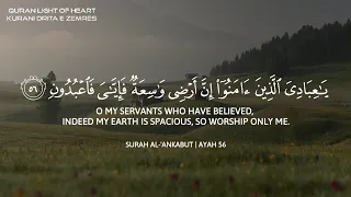 عبدالرحمن مسعد آيات من سورة العنكبوت مكررة تلاوة ضع السماعة وأرح سمعك وقلبك تلاوة هادئة  عبدالرحمن مسعد آيات من سورة العنكبوت مكررة تلاوة ضع السماعة وأرح سمعك وقلبك تلاوة هادئة