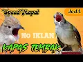 Download Lagu MASTERAN KAPAS TEMBAK SPEED RAPAT JERNIH (TEMBAKAN PEDAS) JEDA 1 MENIT plus TERAPI AIR