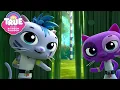 Secret Ninja Cat Dojo! 😼🥋 6 FULL EPISODES 🌈 True and the Rainbow Kingdom 🌈
