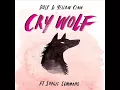 Download Lagu DOLF \u0026 Yellow Claw - Cry Wolf (Feat. Sophie Simmons)