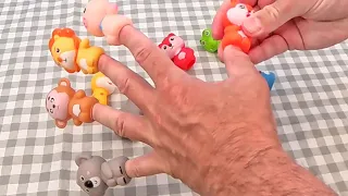 Playing with Animal Finger Puppets and Washing Toy Animals