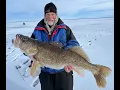 Green Bay Ice Fishing Perch vs Walleye Zones Explained