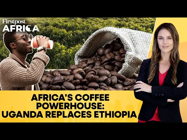 Uganda Surpasses Ethiopia to Become Africa’s Top Coffee Exporter | Firstpost Africa | N18G