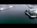 Harbor Tides