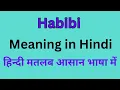 What is the Meaning of Habibi