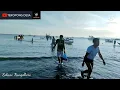 Download Lagu Serunyanya Nelayan Berebutan ikan di Mbay,Nagekeo
