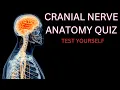 CRANIAL NERVES ANATOMY - HIGH YIELD FACTS REVIEW QUIZ