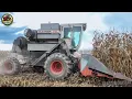 Allis Chalmers Gleaner F2 Combine Harvesting Corn