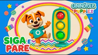 🚦 SIGA, PARE E DANCE! 😂🐶 A Dança do Siga e Pare | Caninópolis Puppies