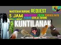 Download Lagu REQUEST MASTERING #2 6 in 1 MASTERAN KICAU BURUNG Jenggot BURGER Cililin TENGKEK Kenari Walang KUNTI