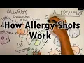How do allergy shots work Th2 cells and IgE