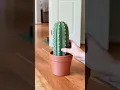 This Cactus is a Chess Set