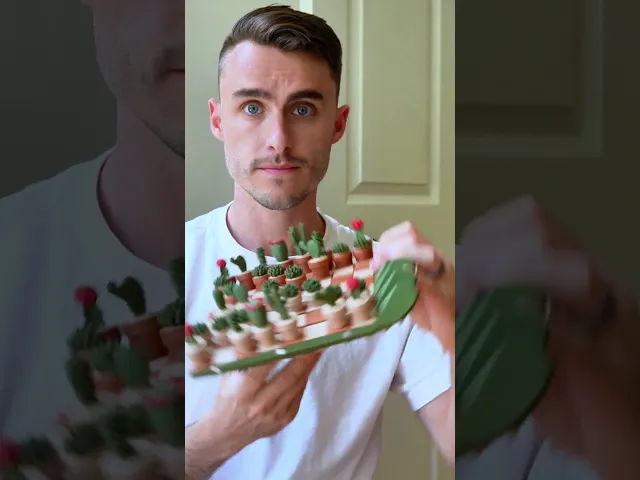 CactiChess - Roll up Cactus Chess Set video thumbnail