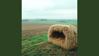 گوهر شجاعت دندنها
