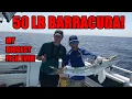 NAPLES FL 50 LB BARRACUDA BIGGEST FISH OF MY LIFE