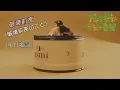 Download Lagu [MAD]能幹貓今天也憂鬱 ED 破壞前夜 中日歌詞翻譯#破壞前夜のこと#デキる猫は今日も憂鬱#asmi#日語歌詞解說#文法解說#歌詞考察#四葉草