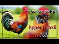 Download Lagu Murga Dance Hypar Brazil+Dhol Mix Song