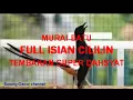 Download Lagu murai full isian cililin nembak gak abis abis