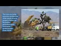Kaiser Permanente moves Joshua trees prior to breaking ground in Hesperia