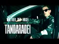 Download Lagu Walther der Vogel `TANDARADEI` [official Video]