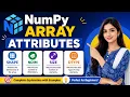Lecture NumPy Array Attributes Explained Shape Size ndim dtype Indexing Slicing