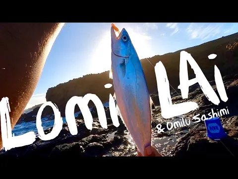 Download MP3 Sly Lai Guy! Lai Catch and Lomi with Omilu Sashimi! Hawaii Fishing | Big Island Hawaii Fishing 2020