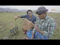 Download Lagu Single Pasanga | Ep - 8 | Preview | Sep 28 2025 | Zee Tamil