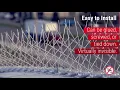 Stainless Steel Bird Spikes Effectively Stops Pigeons Seagulls More