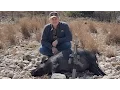 THE FIRST HUNT at Ox Ranch