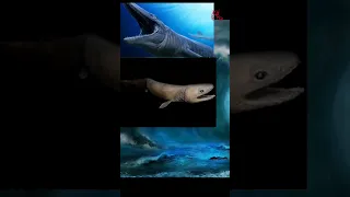 المكان الاكثر ظلاما علي وجه الارض في دقيقه بدون موسيقي  السعودية   الدول العربية خندق ماريانا العراق دندنها