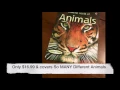 The Usborne Bookshelf - QuickLinks Non Fiction Books