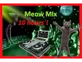 Download Lagu Meow Mix song // 10 hours // HD // Cat Music // EDM Cat Remix // Dancing Cats