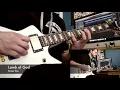 Erase This - Lamb of God - Guitar Cover and Solo [HQ]