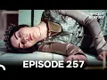 Download Lagu Magnificent Century Episode 257 | English Subtitle