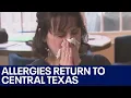 Your allergies could be worse this spring here s why FOX 7 Austin