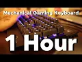 Download Lagu 1 Hour Typing - Cherry MX Blue Switch Sound ASMR Mechanical Keyboard