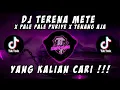 Download Lagu DJ TERENA METE X PALE PALE PURIYE X TENANG AJA | VIRAL TIKTOK BY SAHRUL CKN TERBARU 2023#djcampuran